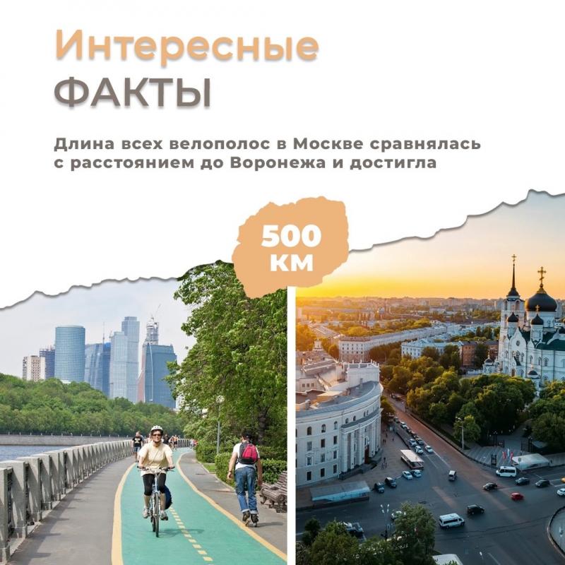 Интересные факты: в Москве длина всех велополос достигла 500 км